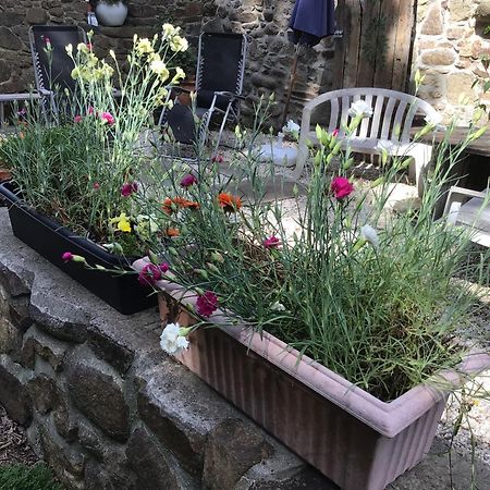 Spacious, Rustic Studio Space For 2 Persons Saint-Cyr-du-Bailleul Luaran gambar