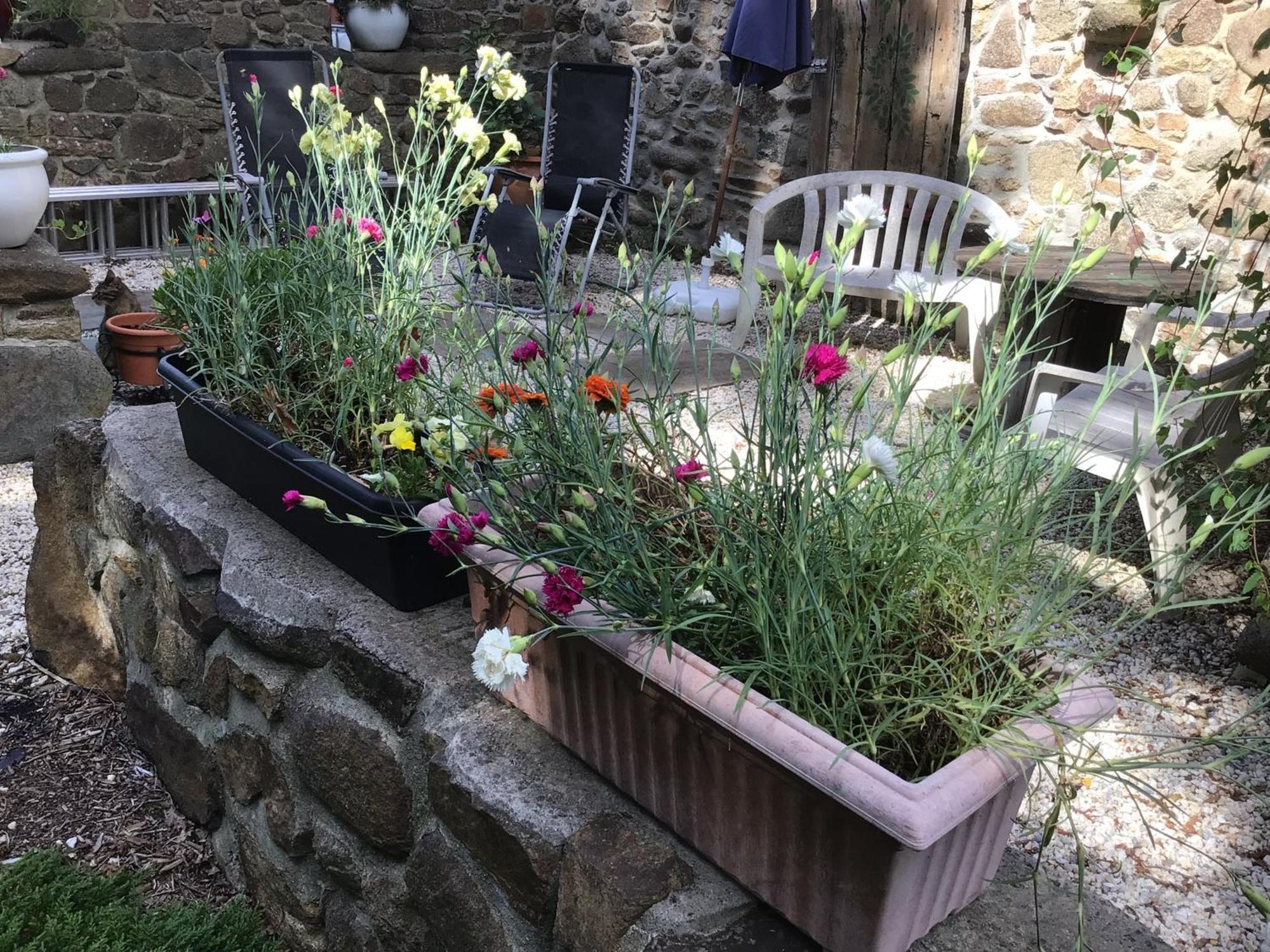 Spacious, Rustic Studio Space For 2 Persons Saint-Cyr-du-Bailleul Luaran gambar